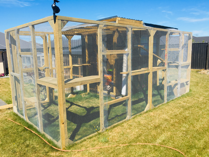 Memphis's outdoor run and indoor enclosure facilities