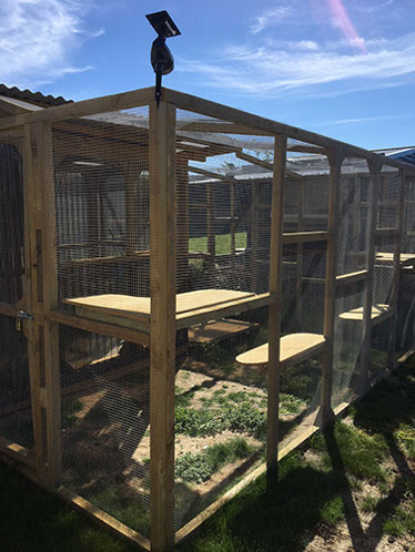 Richies Outdoor Run facilities
