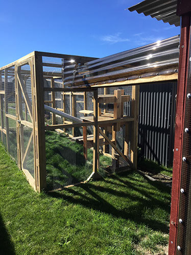 Rocci's outdoor stud run facilities
