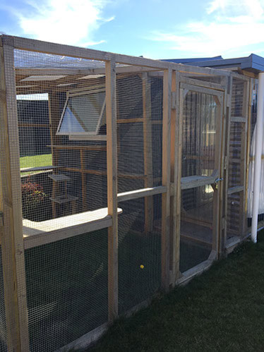 Queens outdoor run facilities